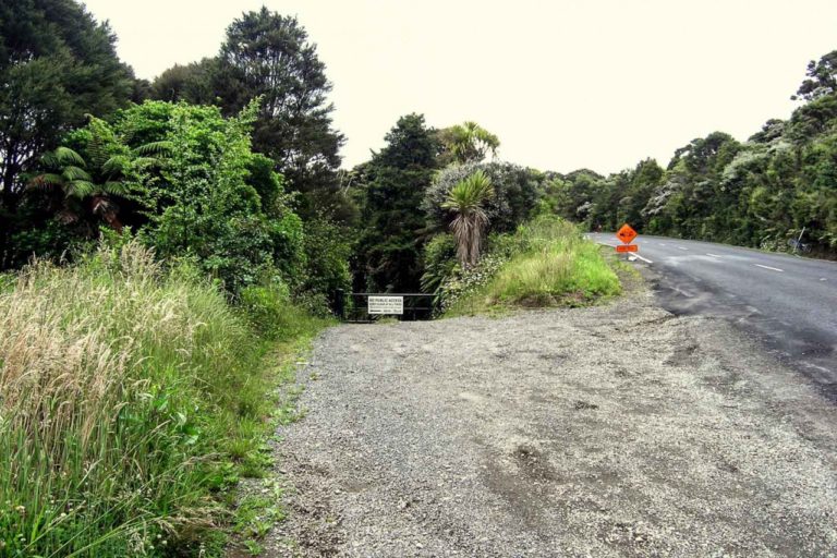 Back onto Piha Road