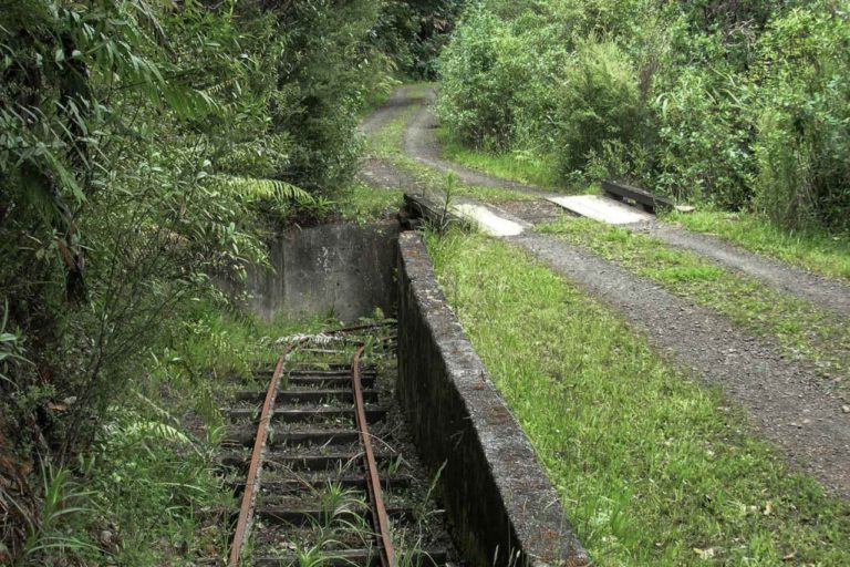 Upper Huia Reservoir Walk