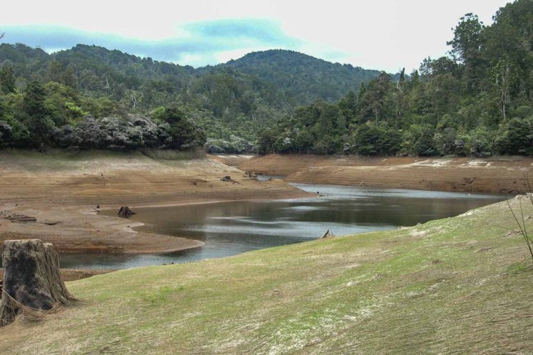 Upper Huia Reservoir