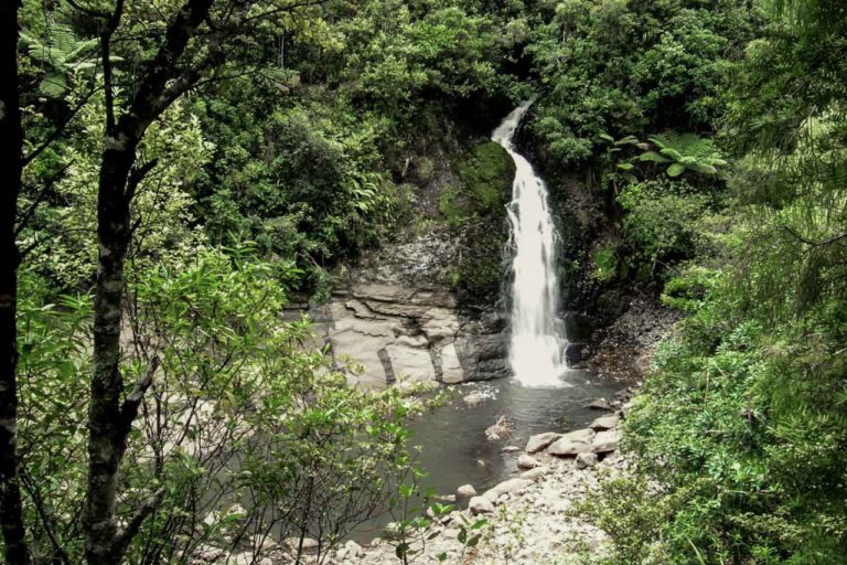 Upper Huia Reservoir Walk