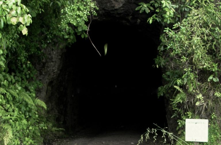 Upper Huia Reservoir Road Tunnel