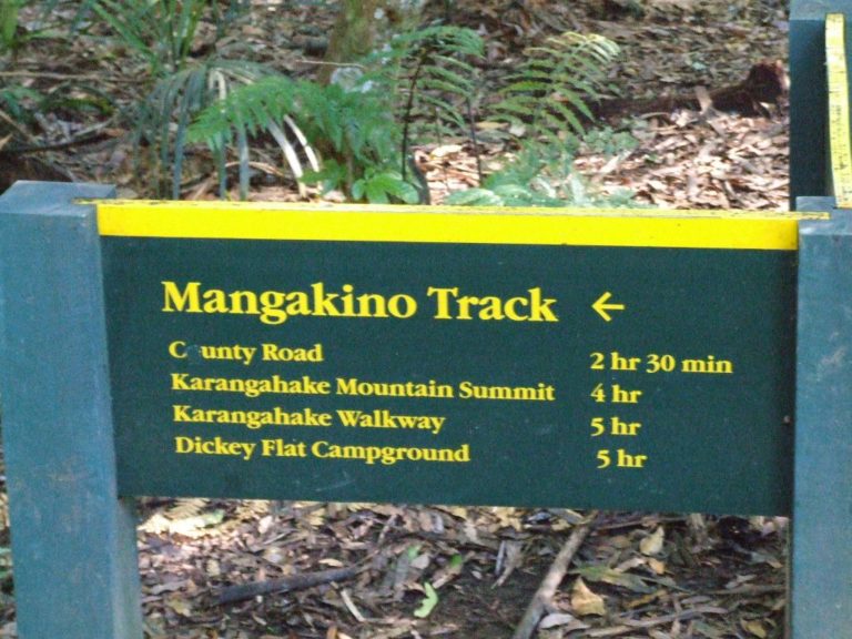 Karangahaka Gorge Walk To Wharawhara Road End