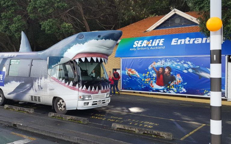 You can get the free bus to Kelly Tarlton's underwater world