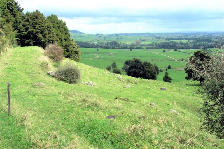 Lovely views along the Wairere Falls Walk