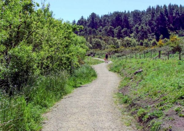 Main walking track to Huka Falls is very good quality