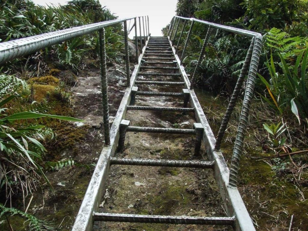 The First ladder on the Kaimai Range