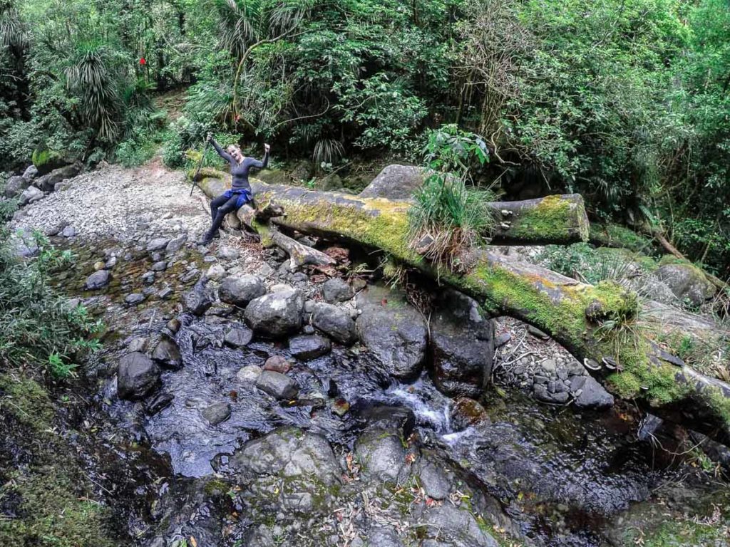 Rereatukahia Stream crossing