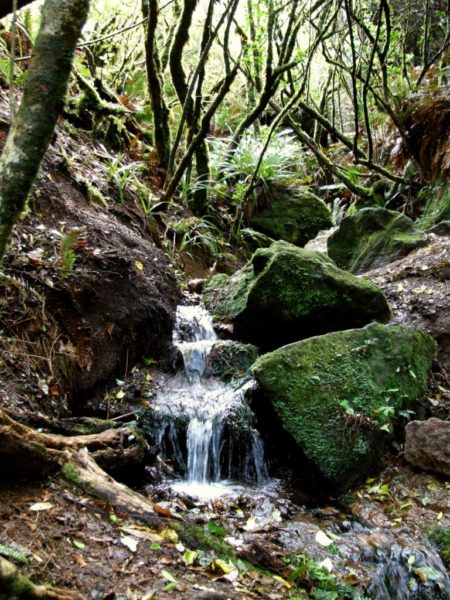 Mt Tauhara Walk