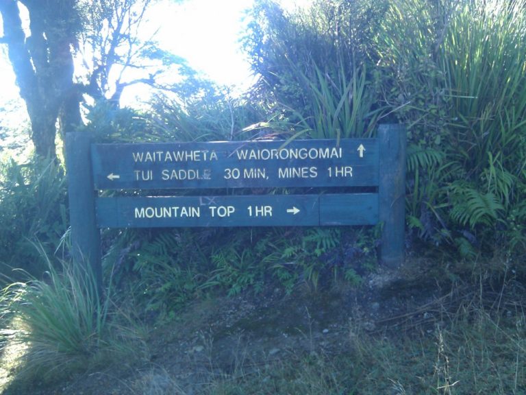 Waitawheta - Waiorongomai Track