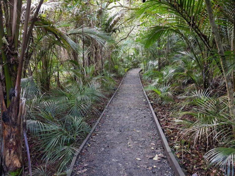 Nature walk at Long Bay Regional Park in Auckland