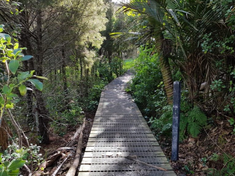 Nature walk at Long Bay Regional Park in Auckland