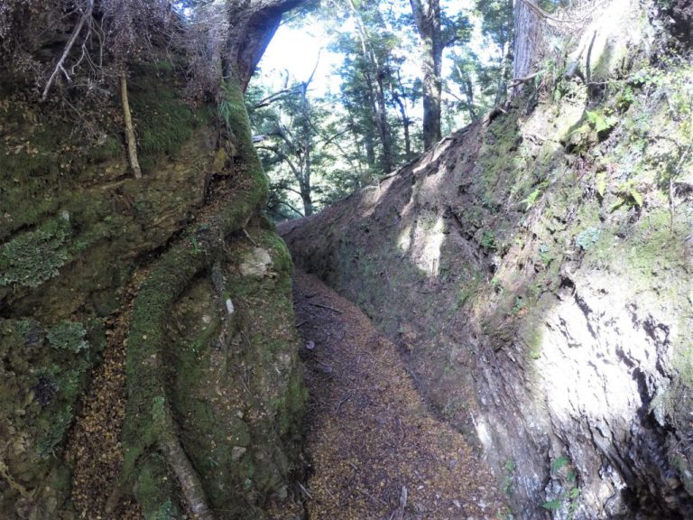 Otago Dam Walk - Gabriel's Gully