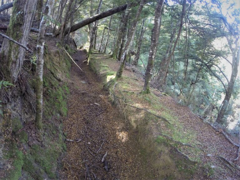 Otago Dam Walk - Gabriel's Gully