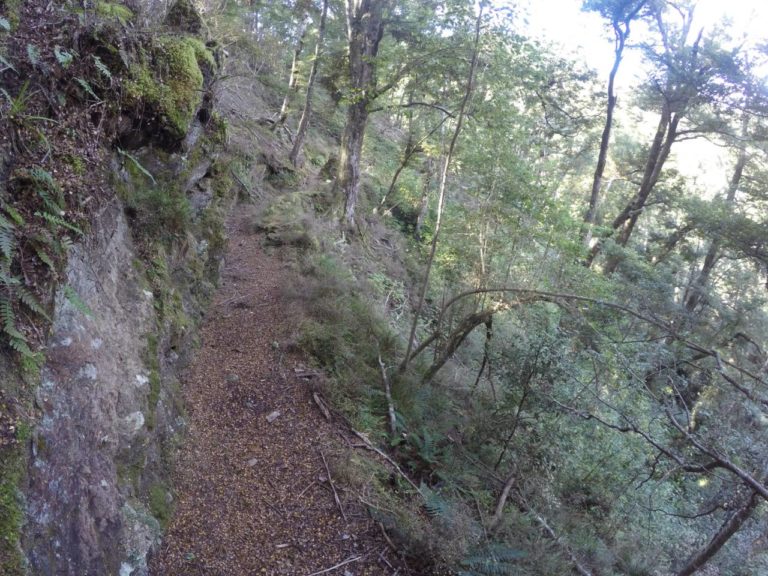 Otago Dam Walk - Gabriel's Gully