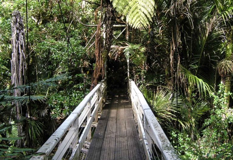 One of two swing bridges