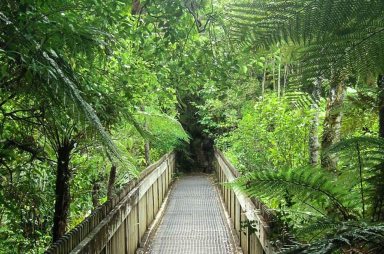 Cascade Walkway