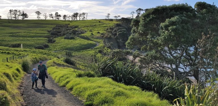 Looking down at Pohutukawa Bay Beach as you walk down to it on the Coastal Track