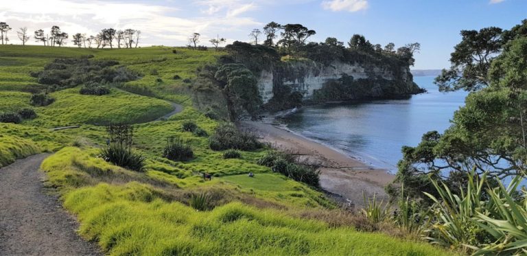 Pretty Pohutukawa Bay Beach on the Long Bay Coastal Track in Auckland