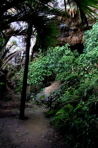 Punakaiki Caves Walk - start