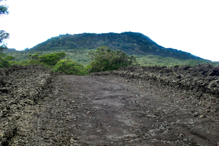 Looking up the track to the summit of Rangitoto Island