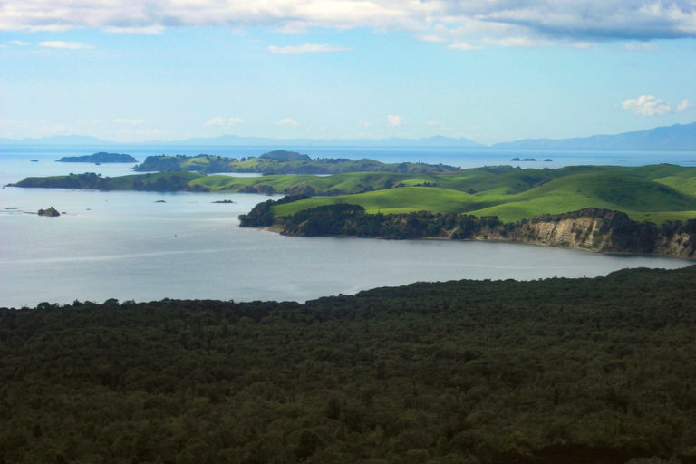Views looking out to Motutapu Island from Rangitoto Island