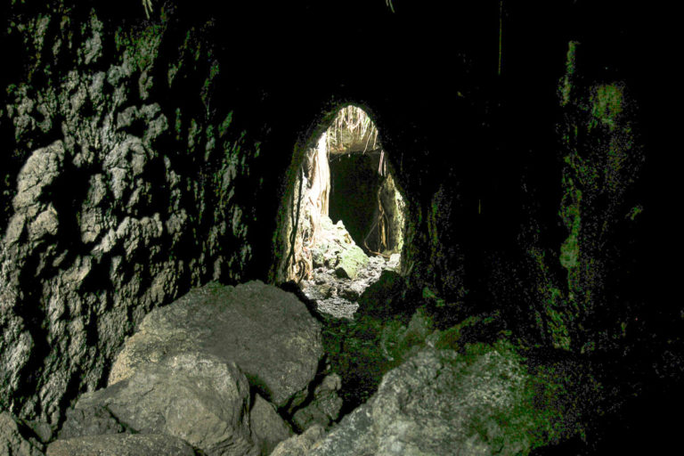 Inside one of the lava caves on the Rangitoto Island Walk