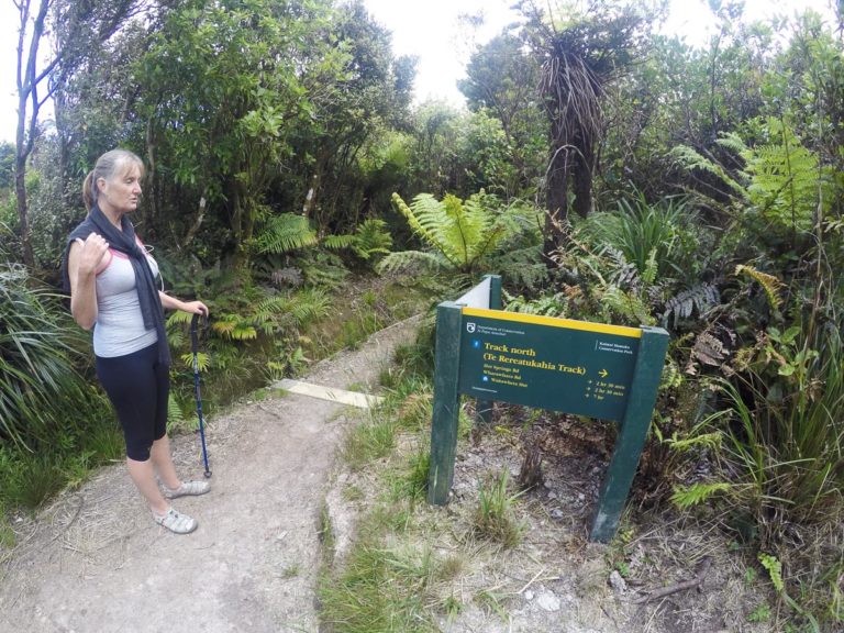 Sandra at the turnoff at the North South TrackTe Rereatukaiha Hut
