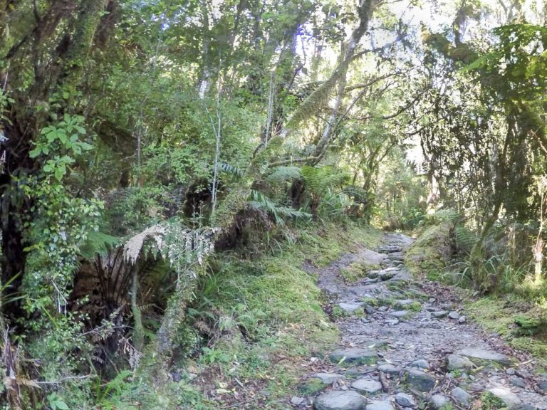 Roberts Point Walking Track, Franz Josef