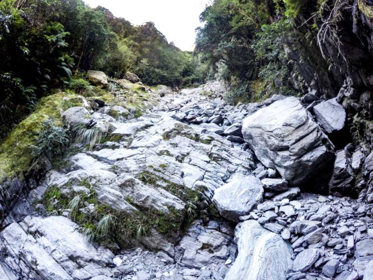 Roberts Point Walking Track, Franz Josef