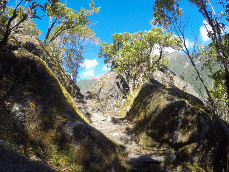 Roberts Point Walking Track, Franz Josef