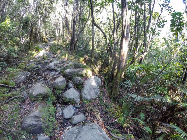 Roberts Point Walking Track, Franz Josef