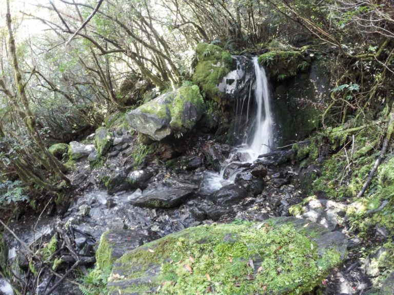 Roberts Point Walking Track, Franz Josef