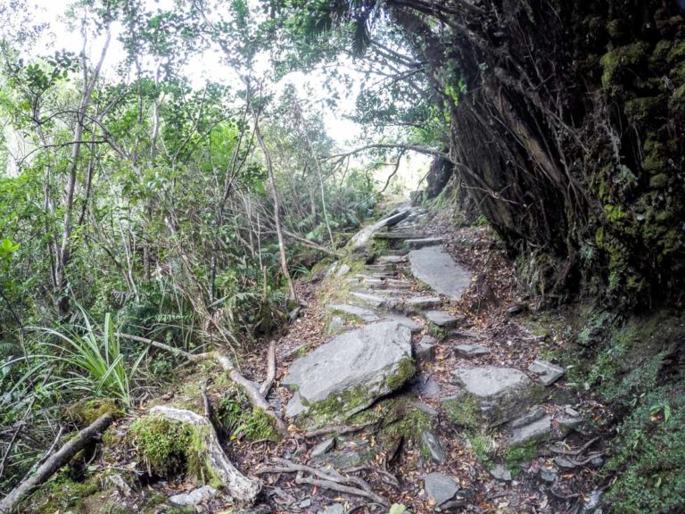 Roberts Point Walking Track, Franz Josef