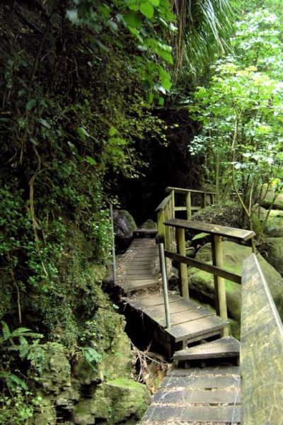 Boardwalk to second bridge on the Wairere Falls Walk