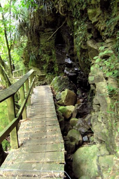 Boardwalk to second bridge on the Wairere Falls Walk