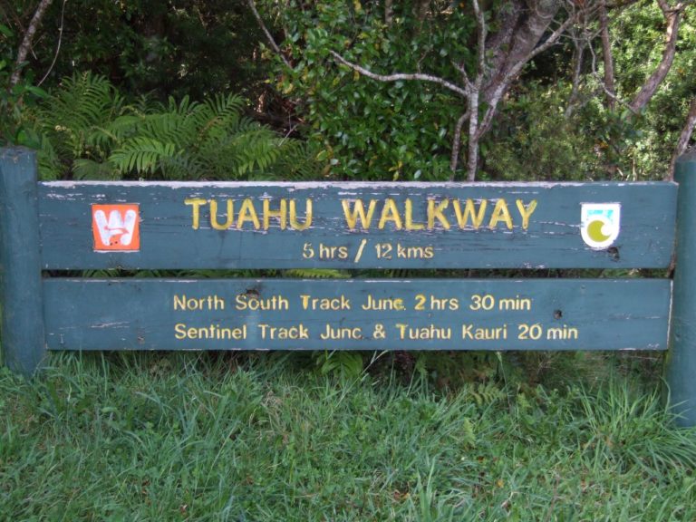Start of the walk, Tuahu track