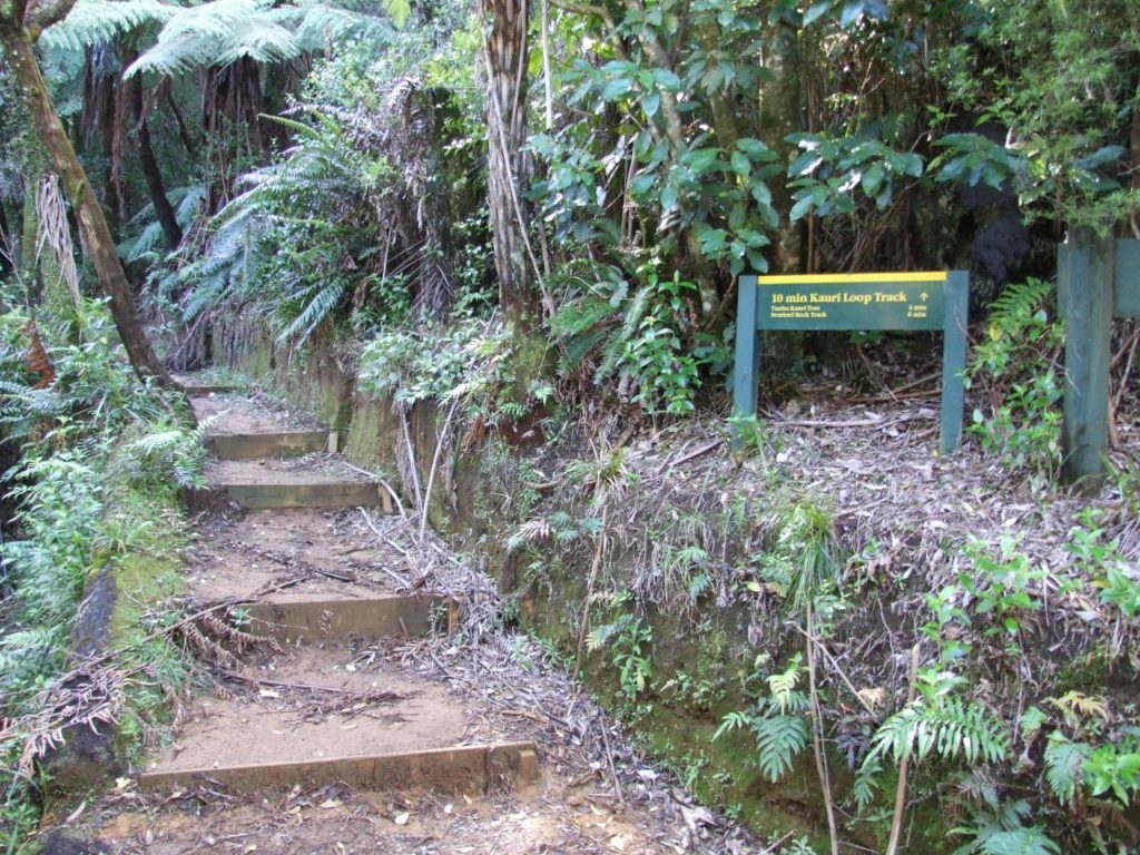 Turn off to Sentinel rock