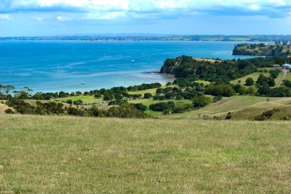 The lookout