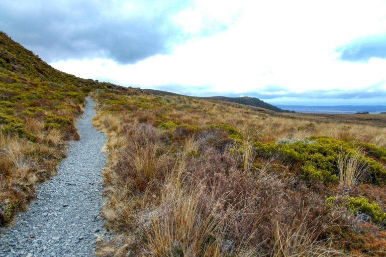 Silica Rapids Walk, Ruapehu