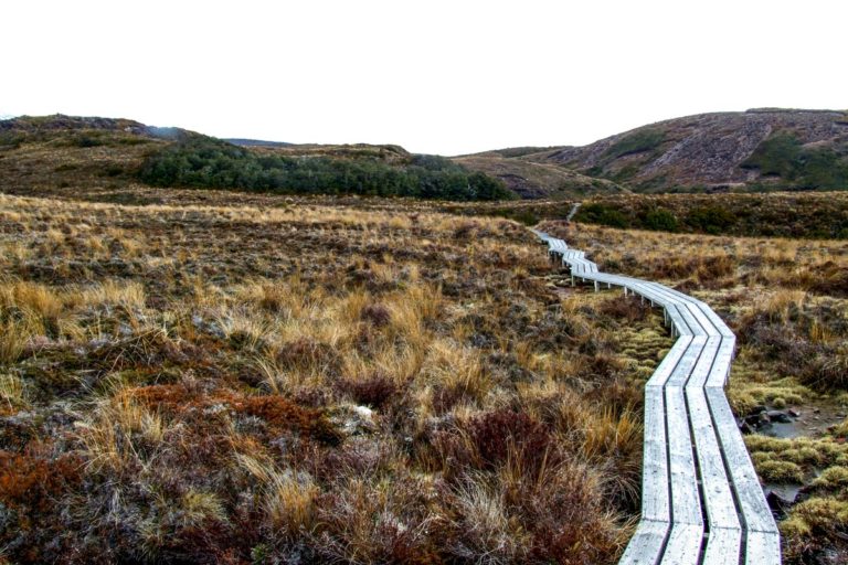 Silica Rapids Walk, Ruapehu