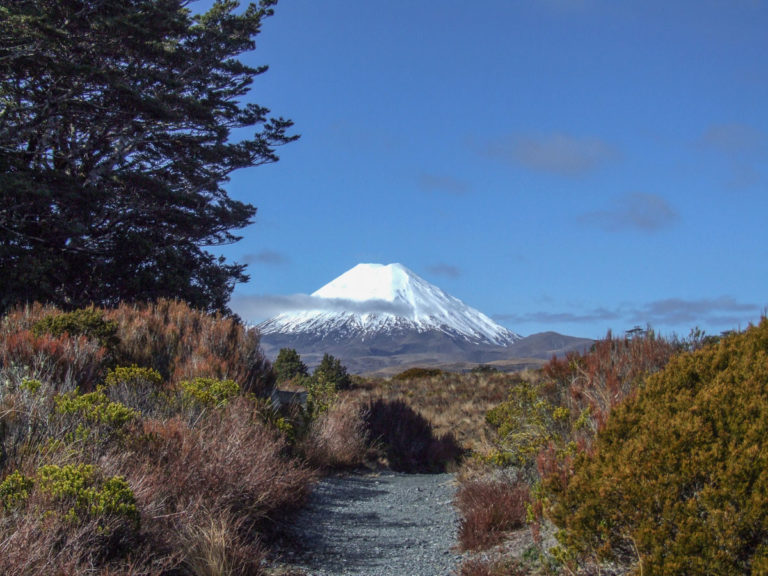 Silica Rapids Walk, Ruapehu