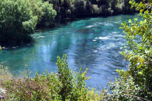 Sit down and enjoy the view of the Waikato River on the Huka Falls Walk, Taupo