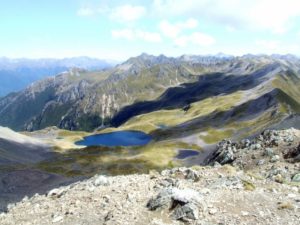 St Arnaud Walks, South Island, New Zealand, Copyright Freewalks NZ