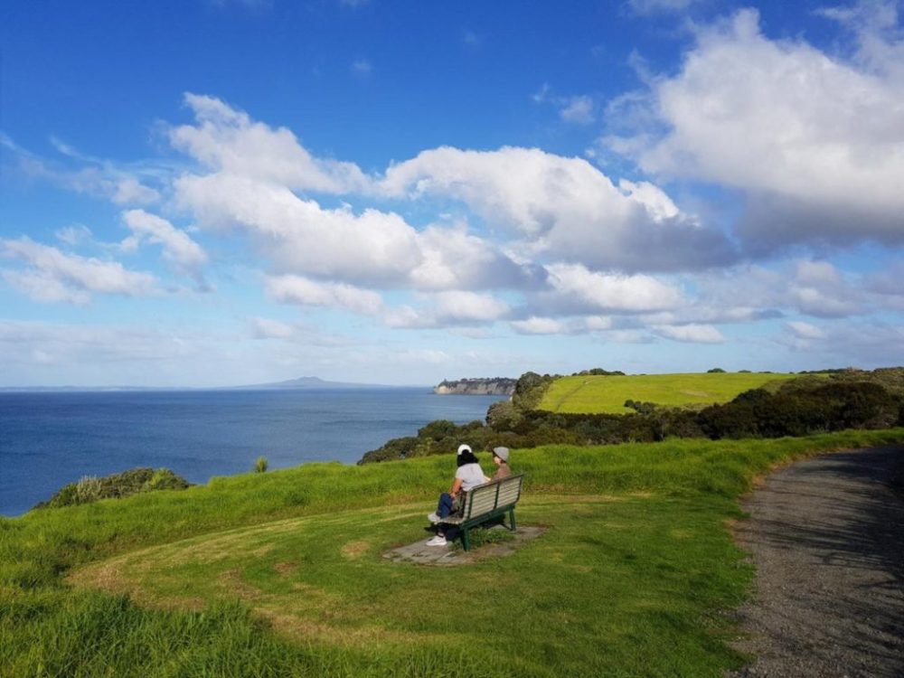 Stop at the seat for lovely views on the Long Bay Regional Park coastal walk in Auckland - Copyright Freewaks.nz