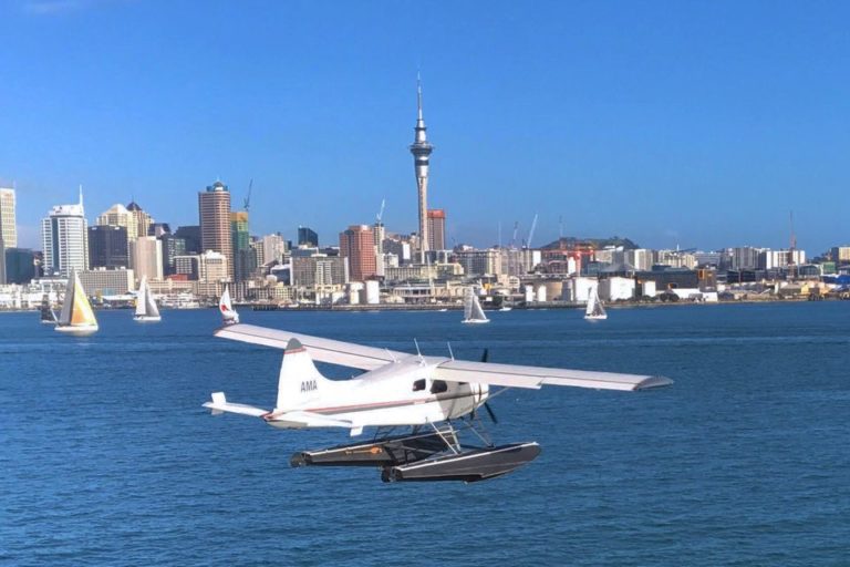 Take a seaplane flight for great views of Rangitoto Island volcano summit