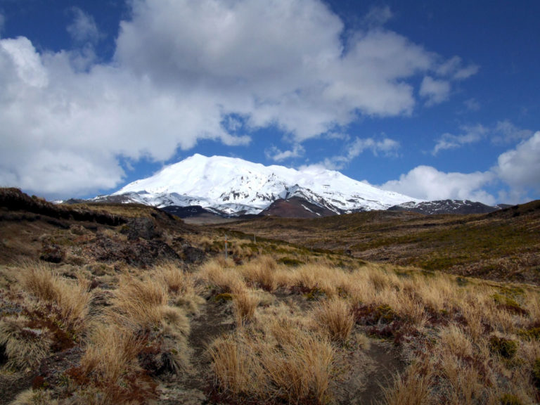 Stunning views of Mt Ruapehu