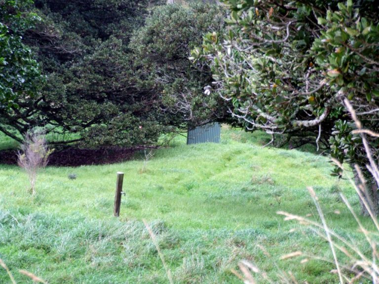 Camp site, long drop