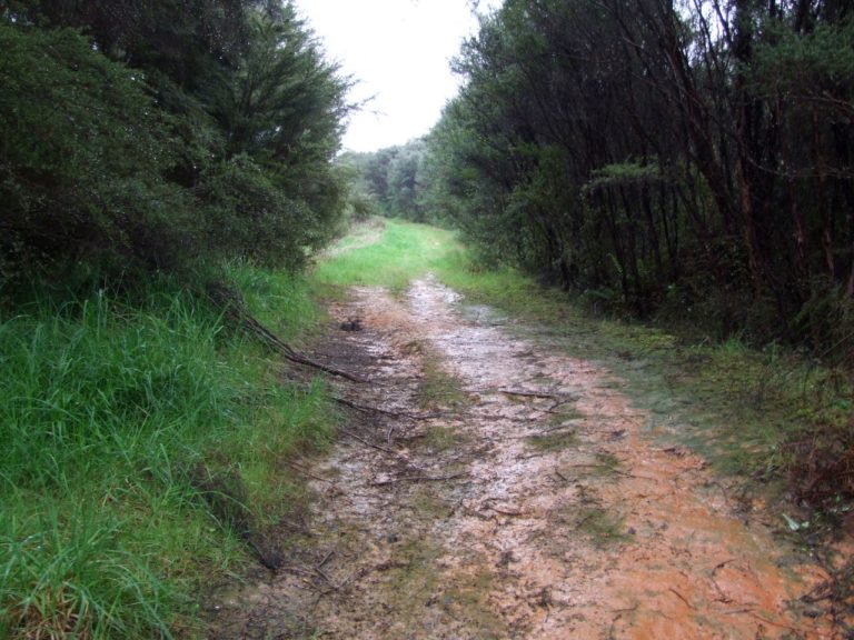 Track behind the longdropTrack behind the longdrop