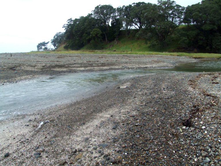 Creek at low tide.