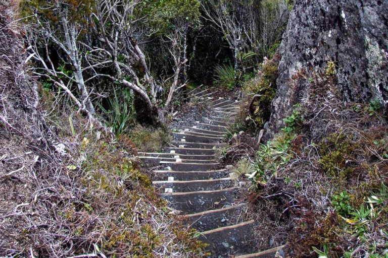 descending to the base of the Taranaki Falls